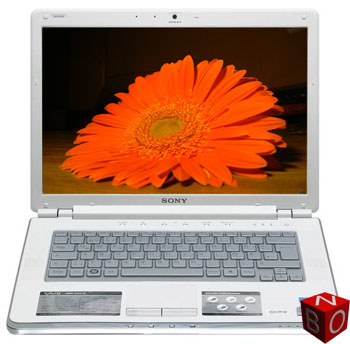 Sony Vaio VGN-CR31SW